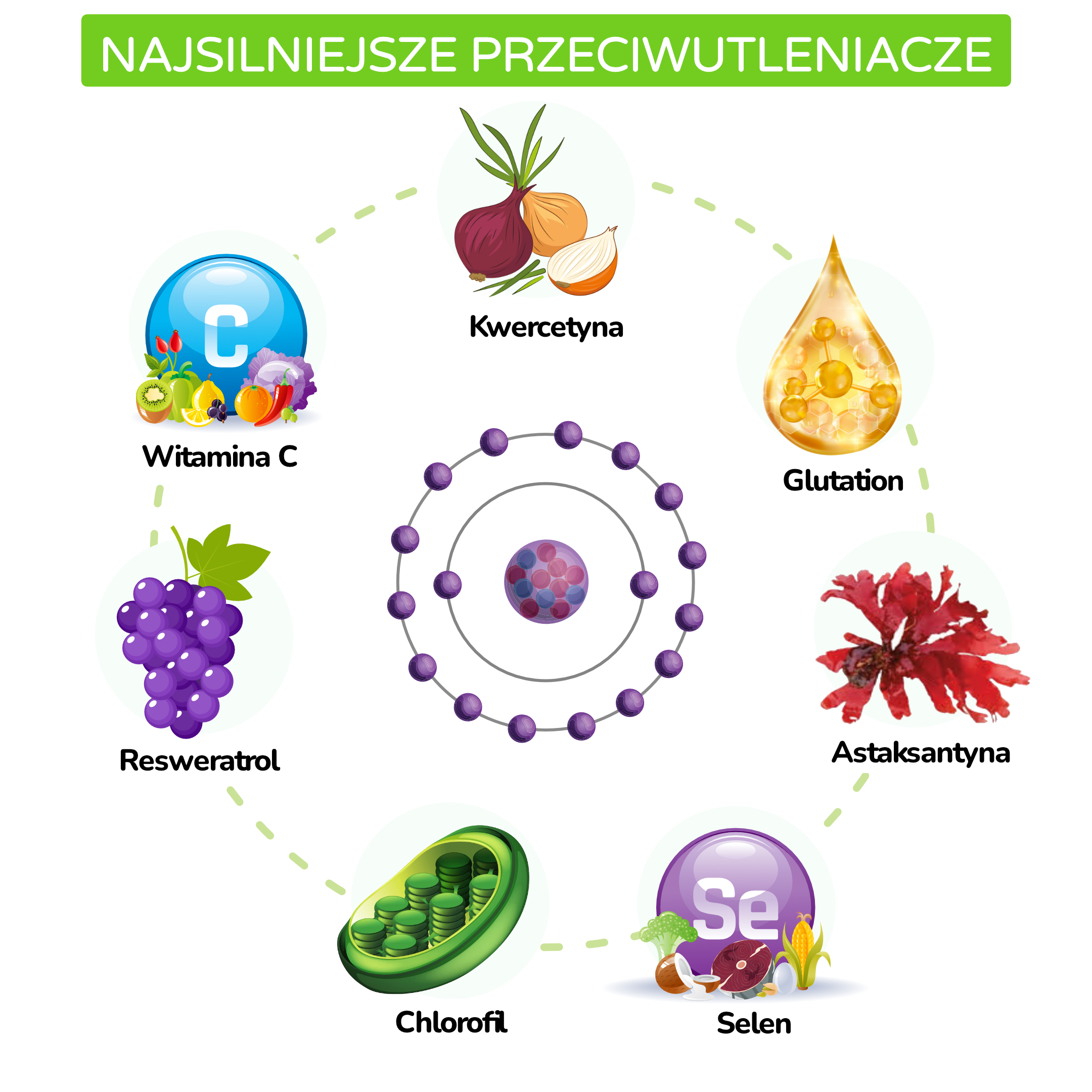 Nejsilnější antioxidanty_inforgafika_pl